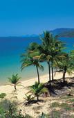 Туры в отель Thala Beach Lodge