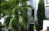 Туры в отель Hotel Lodi