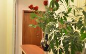 Туры в отель Best Corner