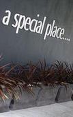 Туры в отель Urban St Leonards