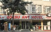 Туры в отель Goksu Ant