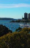 Туры в отель Vibe Hotel Rushcutters