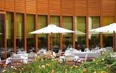 Туры в отель Steigenberger Airport Hotel