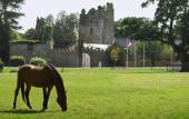 Туры в отель Castlemartyr Resort Hotel