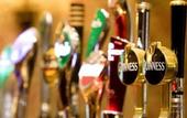Туры в отель Ballsbridge Inn Hotel