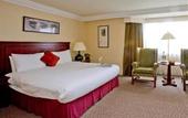 Туры в отель Ballsbridge Inn Hotel