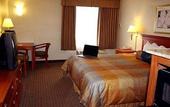 Туры в отель Best Western Airport Inn and Suites