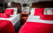 Туры в отель Kildare Street Hotel