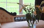 Туры в отель Castle Oaks House Hotel