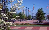 Туры в отель Best Western Atlanta Airport East