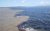 Туры в отель Park Suites Manaus