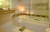 Туры в отель Park Suites Manaus