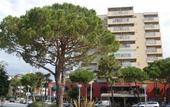 Туры в отель Savoia Hotel