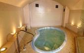 Туры в отель The Bromley Court Hotel