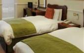 Туры в отель The Bromley Court Hotel