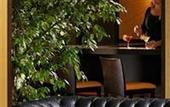 Туры в отель Best Western City