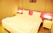 Туры в отель The Oddy Hip Hotel