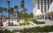 Туры в отель Riu Palace Aruba