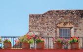 Туры в отель Best Western Hotel Monteverde Express