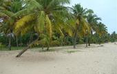 Туры в отель Abad Turtle Beach