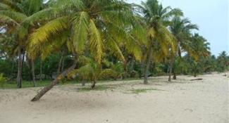 Abad Turtle Beach 4*