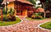 Туры в отель Chicanna EcoVillage Resort