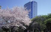 Туры в отель The Prince Park Tower Tokyo