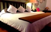 Туры в отель Hotel Los Agaves