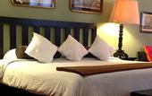 Туры в отель Hotel Los Agaves