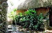 Туры в отель Picocanoa