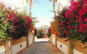 Туры в отель Los Cabos Golf Resort