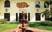 Туры в отель Villa del Palmar Beach Resort