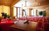 Туры в отель David Palace Hotel