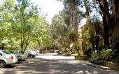 Туры в отель Hacienda del Molino