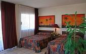 Туры в отель Hotel Torre de Oro