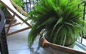 Туры в отель Parador de Manolos