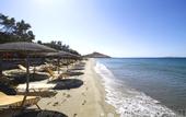 Туры в отель Golden Beach Hotel & Apartments