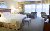 Туры в отель Holiday Inn On The Beach