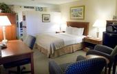 Туры в отель Holiday Inn On The Beach