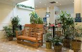 Туры в отель Holiday Inn On The Beach