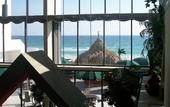 Туры в отель Holiday Inn On The Beach