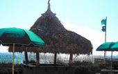 Туры в отель Holiday Inn On The Beach