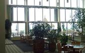 Туры в отель Holiday Inn On The Beach
