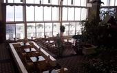 Туры в отель Holiday Inn On The Beach
