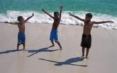 Туры в отель Holiday Inn On The Beach
