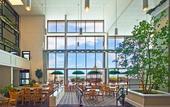 Туры в отель Holiday Inn On The Beach