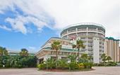 Туры в отель Holiday Inn On The Beach