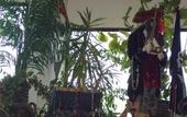 Туры в отель Holiday Inn On The Beach