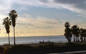 Туры в отель Best Western Inn by the Sea