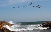 Туры в отель Best Western Inn by the Sea